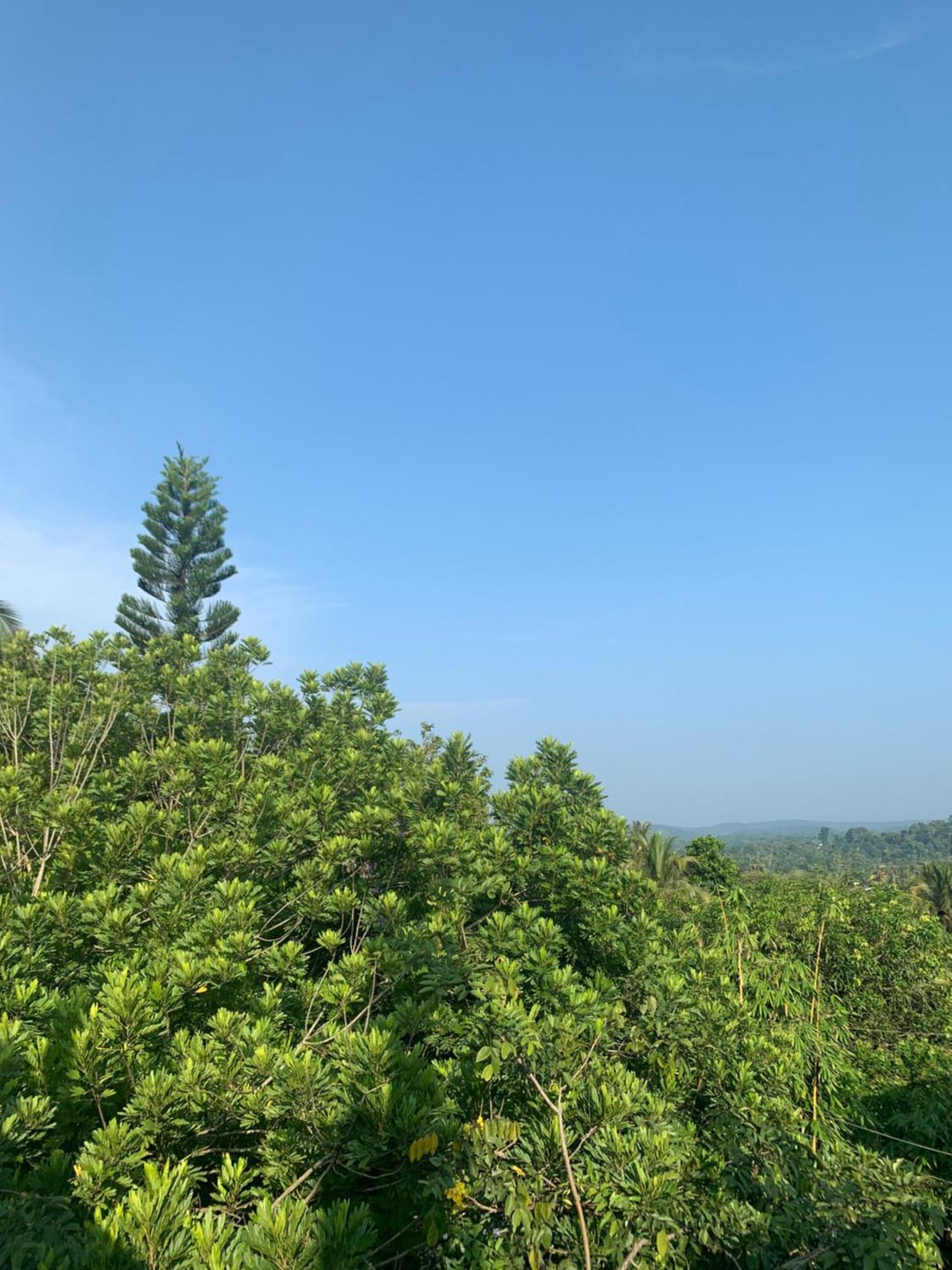 Thaproo Bay Hiriketiya Bed & Breakfast Dickwella Exterior photo